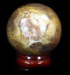 Colorful Petrified Wood Sphere #36969-2
